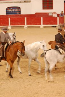 Arènes El Cordobes-朗格多克—鲁西永