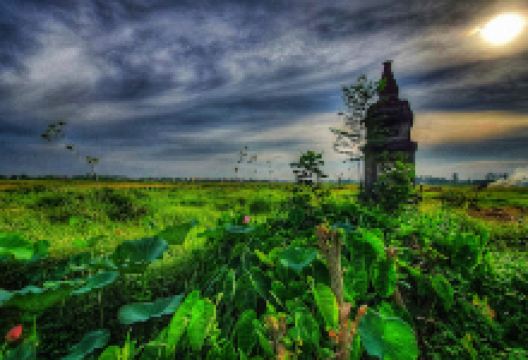 Chùa Bảo Phúc景点图片