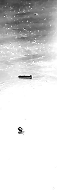 维多利亚公园-贝尔法斯特