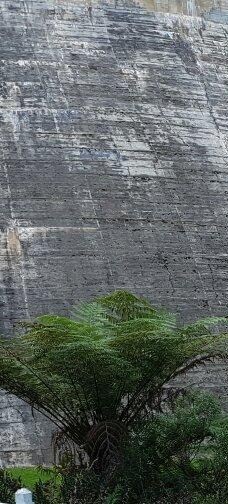 Maroondah Reservoir Park-希尔斯维尔