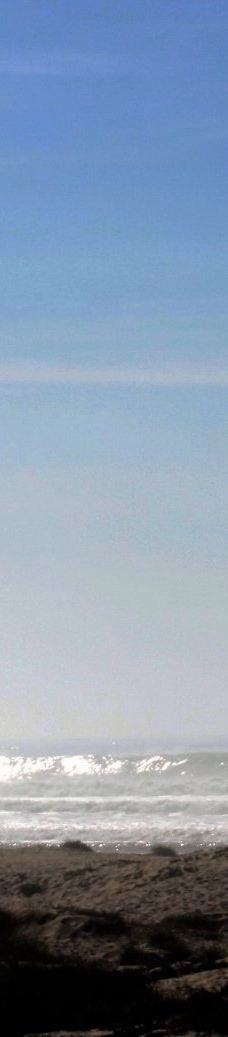 皮斯莫海滩-圣路易斯－奥比斯波县