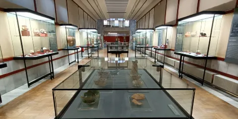 Museo Numantino