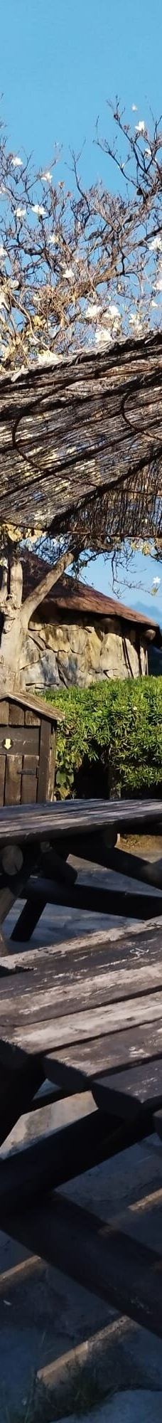 Selwo Aventura-埃斯特波纳