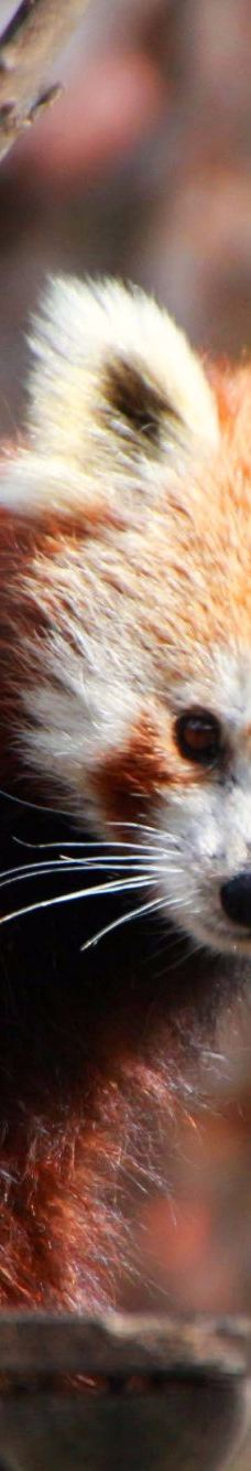 Selwo Aventura-埃斯特波纳