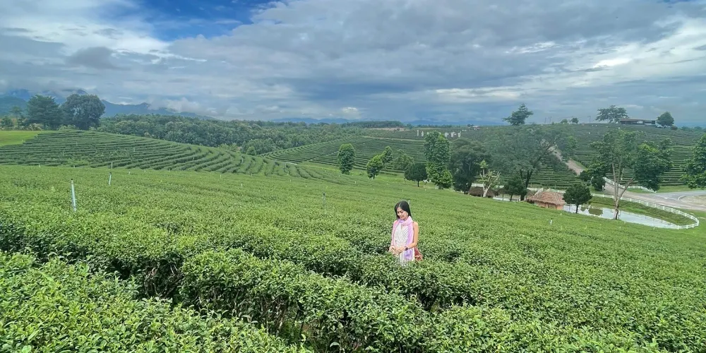 永安旅遊