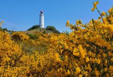 Dornbusch lighthouse景点图片