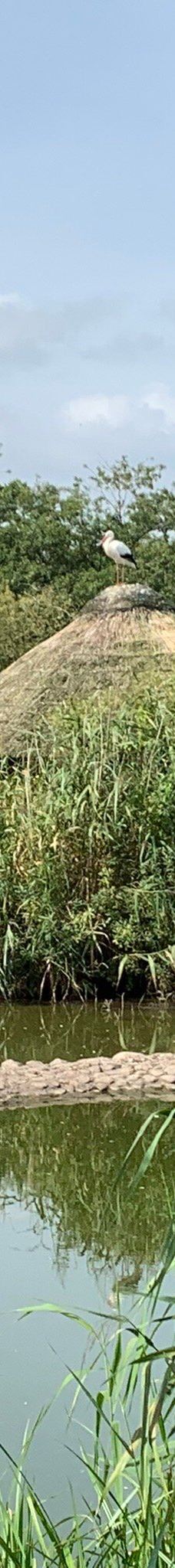 Vogelpark Niendorf-蒂门多尔费尔斯特兰德