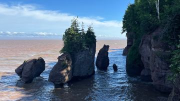 Bay Of Fundy