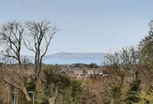 蕨山公园景点图片