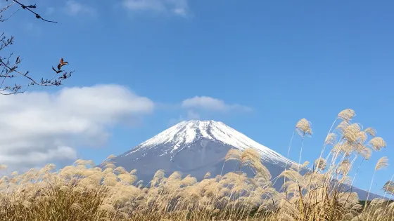 十里木高原