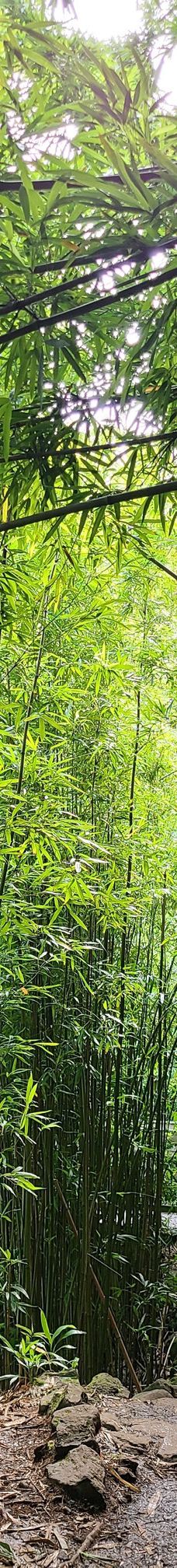 皮皮崴小径-茂宜县