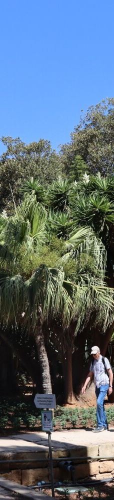 San Anton Gardens-阿塔尔德