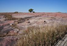 Jeffers Petroglyphs景点图片