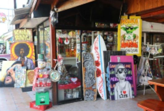 Kana Rapai购物图片