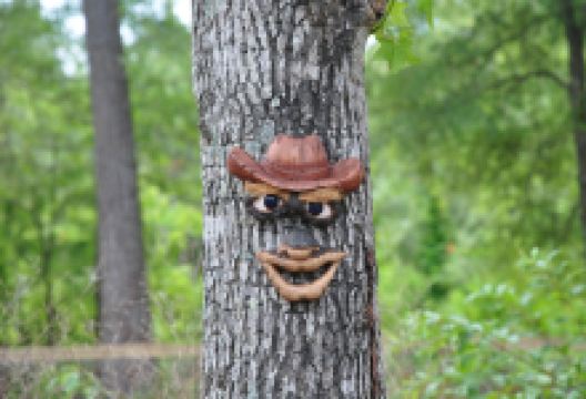 Captain Ron's Gator Park, Petting Zoo and Gardens景点图片