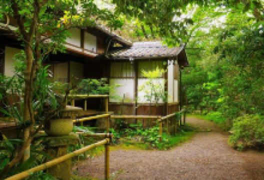 埋木舍景点图片