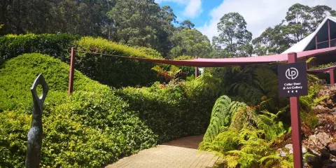 Long Point Vineyard & Art Gallery