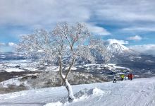 Niseko Winterlab购物图片