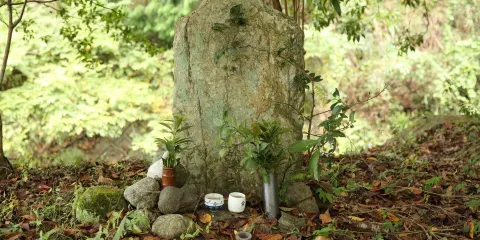 Kitabatake Tomonori Palace Remains