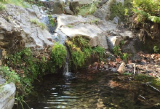 Sycamore Canyon Falls景点图片