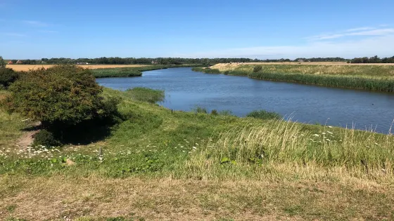 Groese duinen en polders