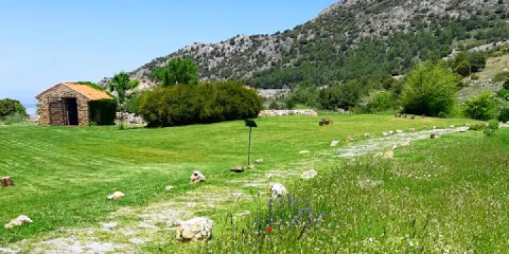 Jardin Botanico Hoya de Pedraza