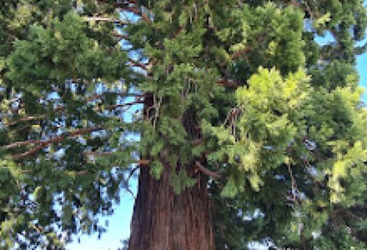 Lodge Reserve Hanmer Springs景点图片