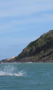 Jangalancha Show-纳塔尔