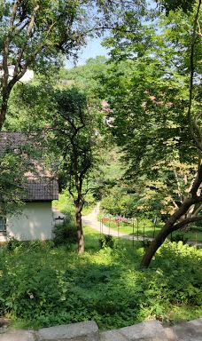 Alter Botanischer Garten-基尔