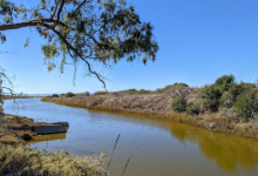 Coal Oil Point Reserve景点图片