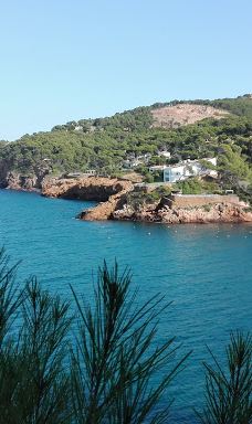 Playa Sa Riera-巴古尔