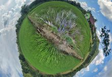 Bald Hill Nature景点图片