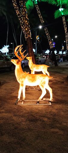 The Rhea Memorial-马塞约