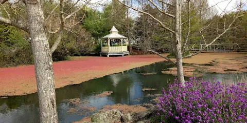 Penshurst Wetlands Public Gardens