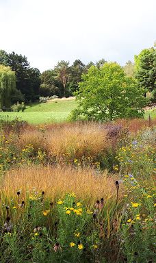 Botanical Garden-维尔茨堡