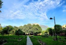荞麦花城市公园景点图片