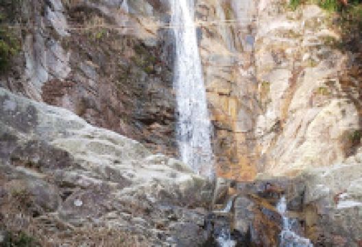 虎尾桜景点图片