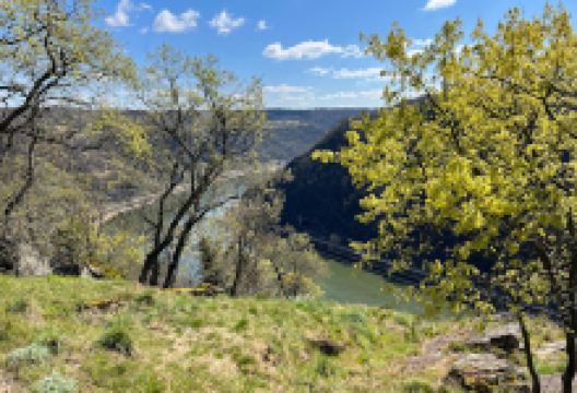 Loreley Promenade景点图片