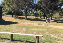 Kara Park Playground景点图片