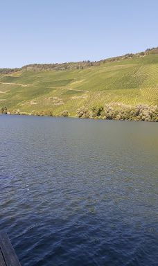 MoselCamping Bernkastel-贝恩卡斯特尔-屈斯