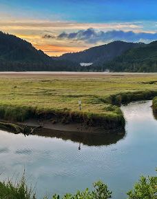 Alder Island Nature Trailhead-林肯县