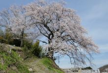 光岩寺景点图片