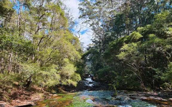 Goonengerry National Park