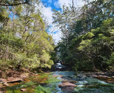 Goonengerry National Park