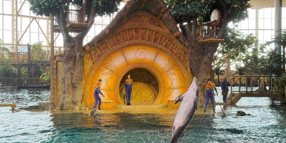 永安旅遊