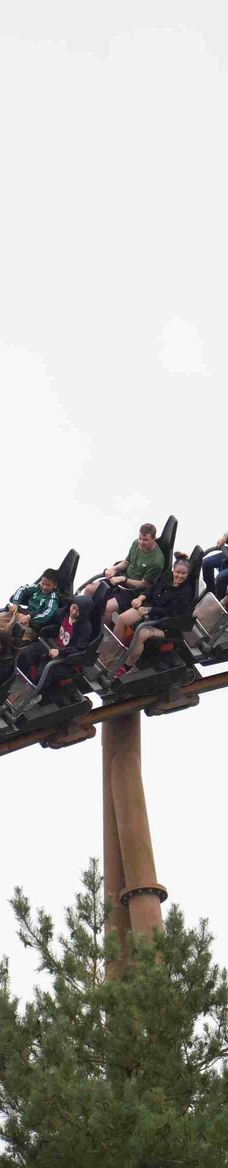 丹麦比隆乐高世界-比隆-石楠子