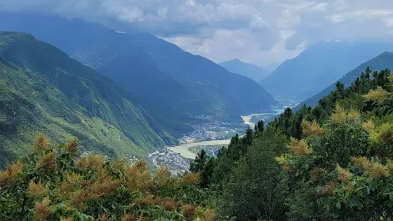 遠眺大渡觀景台