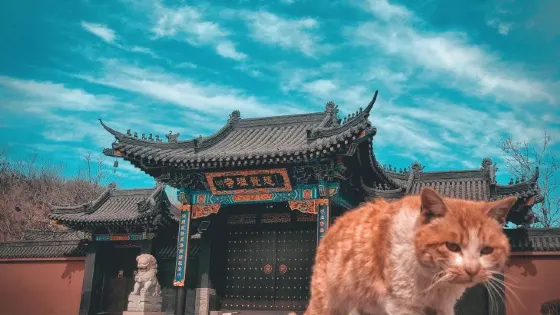 慈覺禪寺