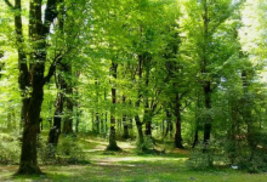 Si Sangan Beach Park景点图片