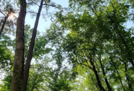 Loris Nature Park景点图片